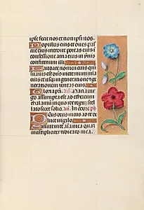 Hours of Queen Isabella the Catholic, Queen of Spain:  Fol. 117r by Master of the First Prayerbook of Maximillian (Flemish, c. 1444–1519)