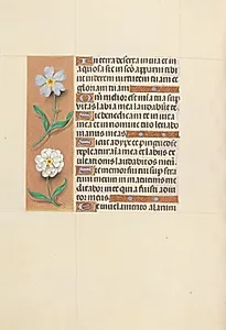 Hours of Queen Isabella the Catholic, Queen of Spain:  Fol. 117v by Master of the First Prayerbook of Maximillian (Flemish, c. 1444–1519)