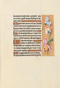 Hours of Queen Isabella the Catholic, Queen of Spain:  Fol. 118r by Master of the First Prayerbook of Maximillian (Flemish, c. 1444–1519)