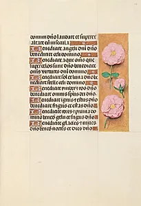 Hours of Queen Isabella the Catholic, Queen of Spain:  Fol. 119r