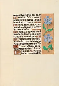 Hours of Queen Isabella the Catholic, Queen of Spain:  Fol. 120r by Master of the First Prayerbook of Maximillian (Flemish, c. 1444–1519)