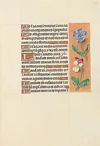 Hours of Queen Isabella the Catholic, Queen of Spain:  Fol. 122r by Master of the First Prayerbook of Maximillian (Flemish, c. 1444–1519)