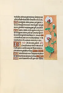 Hours of Queen Isabella the Catholic, Queen of Spain:  Fol. 123r by Master of the First Prayerbook of Maximillian (Flemish, c. 1444–1519)