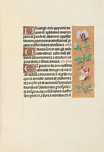 Hours of Queen Isabella the Catholic, Queen of Spain:  Fol. 125r by Master of the First Prayerbook of Maximillian (Flemish, c. 1444–1519)