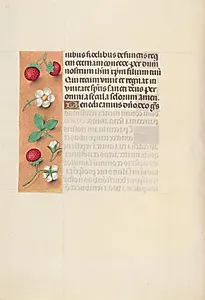 Hours of Queen Isabella the Catholic, Queen of Spain:  Fol. 125v by Master of the First Prayerbook of Maximillian (Flemish, c. 1444–1519)