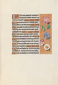 Hours of Queen Isabella the Catholic, Queen of Spain:  Fol. 133r by Master of the First Prayerbook of Maximillian (Flemish, c. 1444–1519)