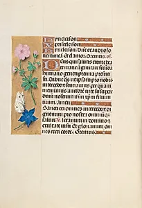 Hours of Queen Isabella the Catholic, Queen of Spain:  Fol. 134v by Master of the First Prayerbook of Maximillian (Flemish, c. 1444–1519)
