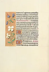 Hours of Queen Isabella the Catholic, Queen of Spain:  Fol. 139v by Master of the First Prayerbook of Maximillian (Flemish, c. 1444–1519)