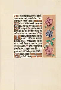 Hours of Queen Isabella the Catholic, Queen of Spain:  Fol. 144r by Master of the First Prayerbook of Maximillian (Flemish, c. 1444–1519)