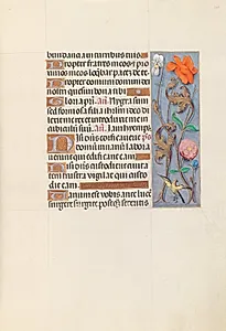 Hours of Queen Isabella the Catholic, Queen of Spain:  Fol. 149r by Master of the First Prayerbook of Maximillian (Flemish, c. 1444–1519)