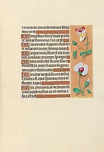 Hours of Queen Isabella the Catholic, Queen of Spain:  Fol. 150r by Master of the First Prayerbook of Maximillian (Flemish, c. 1444–1519)
