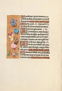 Hours of Queen Isabella the Catholic, Queen of Spain:  Fol. 150v by Master of the First Prayerbook of Maximillian (Flemish, c. 1444–1519)