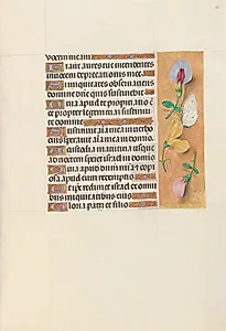 Hours of Queen Isabella the Catholic, Queen of Spain:  Fol. 156r by Master of the First Prayerbook of Maximillian (Flemish, c. 1444–1519)