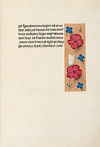 Hours of Queen Isabella the Catholic, Queen of Spain:  Fol. 16r by Master of the First Prayerbook of Maximillian (Flemish, c. 1444–1519)