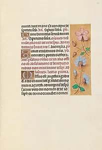 Hours of Queen Isabella the Catholic, Queen of Spain:  Fol. 162r by Master of the First Prayerbook of Maximillian (Flemish, c. 1444–1519)