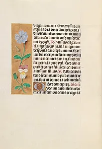 Hours of Queen Isabella the Catholic, Queen of Spain:  Fol. 162v by Master of the First Prayerbook of Maximillian (Flemish, c. 1444–1519)