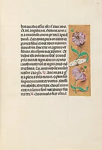 Hours of Queen Isabella the Catholic, Queen of Spain:  Fol. 163r by Master of the First Prayerbook of Maximillian (Flemish, c. 1444–1519)