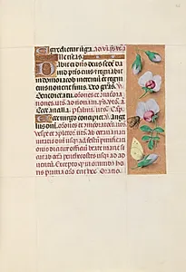 Hours of Queen Isabella the Catholic, Queen of Spain:  Fol. 165r by Master of the First Prayerbook of Maximillian (Flemish, c. 1444–1519)