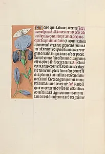 Hours of Queen Isabella the Catholic, Queen of Spain:  Fol. 165v by Master of the First Prayerbook of Maximillian (Flemish, c. 1444–1519)