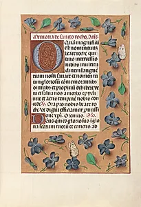 Hours of Queen Isabella the Catholic, Queen of Spain:  Fol. 182r by Master of the First Prayerbook of Maximillian (Flemish, c. 1444–1519)
