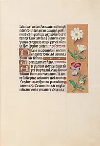 Hours of Queen Isabella the Catholic, Queen of Spain:  Fol. 20r by Master of the First Prayerbook of Maximillian (Flemish, c. 1444–1519)