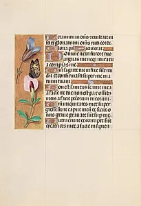 Hours of Queen Isabella the Catholic, Queen of Spain:  Fol. 202v by Master of the First Prayerbook of Maximillian (Flemish, c. 1444–1519)