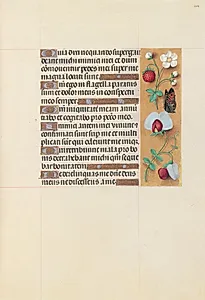 Hours of Queen Isabella the Catholic, Queen of Spain:  Fol. 204r by Master of the First Prayerbook of Maximillian (Flemish, c. 1444–1519)
