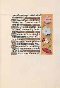 Hours of Queen Isabella the Catholic, Queen of Spain:  Fol. 205r by Master of the First Prayerbook of Maximillian (Flemish, c. 1444–1519)