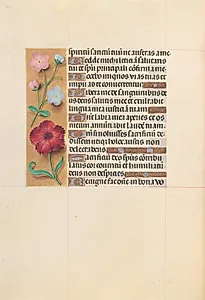 Hours of Queen Isabella the Catholic, Queen of Spain:  Fol. 205v by Master of the First Prayerbook of Maximillian (Flemish, c. 1444–1519)