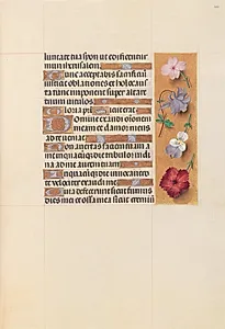 Hours of Queen Isabella the Catholic, Queen of Spain:  Fol. 206r by Master of the First Prayerbook of Maximillian (Flemish, c. 1444–1519)