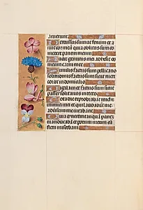 Hours of Queen Isabella the Catholic, Queen of Spain:  Fol. 206v by Master of the First Prayerbook of Maximillian (Flemish, c. 1444–1519)