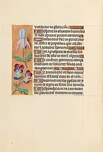 Hours of Queen Isabella the Catholic, Queen of Spain:  Fol. 207v by Master of the First Prayerbook of Maximillian (Flemish, c. 1444–1519)