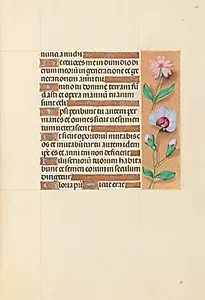 Hours of Queen Isabella the Catholic, Queen of Spain:  Fol. 208r by Master of the First Prayerbook of Maximillian (Flemish, c. 1444–1519)