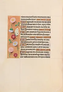 Hours of Queen Isabella the Catholic, Queen of Spain:  Fol. 209v by Master of the First Prayerbook of Maximillian (Flemish, c. 1444–1519)