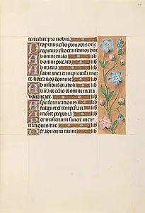 Hours of Queen Isabella the Catholic, Queen of Spain:  Fol. 213r by Master of the First Prayerbook of Maximillian (Flemish, c. 1444–1519)
