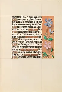 Hours of Queen Isabella the Catholic, Queen of Spain:  Fol. 214r by Master of the First Prayerbook of Maximillian (Flemish, c. 1444–1519)