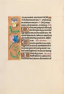 Hours of Queen Isabella the Catholic, Queen of Spain:  Fol. 216v by Master of the First Prayerbook of Maximillian (Flemish, c. 1444–1519)