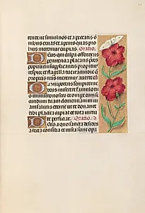 Hours of Queen Isabella the Catholic, Queen of Spain:  Fol. 217r by Master of the First Prayerbook of Maximillian (Flemish, c. 1444–1519)