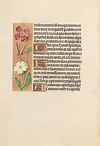 Hours of Queen Isabella the Catholic, Queen of Spain:  Fol. 217v by Master of the First Prayerbook of Maximillian (Flemish, c. 1444–1519)