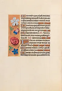 Hours of Queen Isabella the Catholic, Queen of Spain:  Fol. 221v by Master of the First Prayerbook of Maximillian (Flemish, c. 1444–1519)