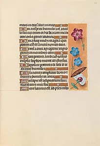 Hours of Queen Isabella the Catholic, Queen of Spain:  Fol. 224r by Master of the First Prayerbook of Maximillian (Flemish, c. 1444–1519)