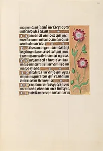 Hours of Queen Isabella the Catholic, Queen of Spain:  Fol. 229r by Master of the First Prayerbook of Maximillian (Flemish, c. 1444–1519)