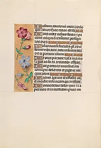 Hours of Queen Isabella the Catholic, Queen of Spain:  Fol. 230v by Master of the First Prayerbook of Maximillian (Flemish, c. 1444–1519)