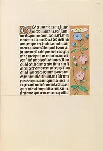 Hours of Queen Isabella the Catholic, Queen of Spain:  Fol. 232r by Master of the First Prayerbook of Maximillian (Flemish, c. 1444–1519)