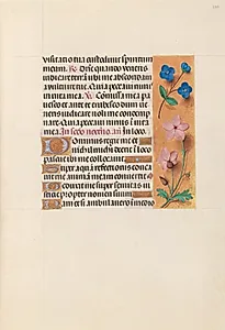Hours of Queen Isabella the Catholic, Queen of Spain:  Fol. 233r by Master of the First Prayerbook of Maximillian (Flemish, c. 1444–1519)