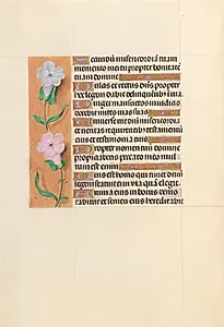 Hours of Queen Isabella the Catholic, Queen of Spain:  Fol. 234v by Master of the First Prayerbook of Maximillian (Flemish, c. 1444–1519)