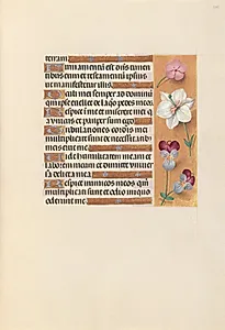 Hours of Queen Isabella the Catholic, Queen of Spain:  Fol. 235r by Master of the First Prayerbook of Maximillian (Flemish, c. 1444–1519)