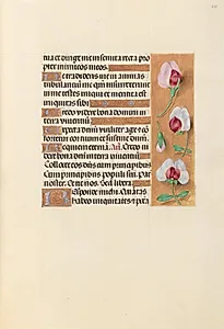 Hours of Queen Isabella the Catholic, Queen of Spain:  Fol. 237r by Master of the First Prayerbook of Maximillian (Flemish, c. 1444–1519)
