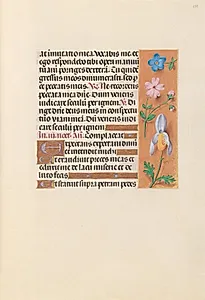 Hours of Queen Isabella the Catholic, Queen of Spain:  Fol. 239r by Master of the First Prayerbook of Maximillian (Flemish, c. 1444–1519)