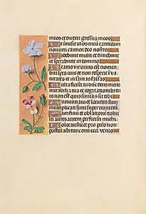 Hours of Queen Isabella the Catholic, Queen of Spain:  Fol. 239v by Master of the First Prayerbook of Maximillian (Flemish, c. 1444–1519)